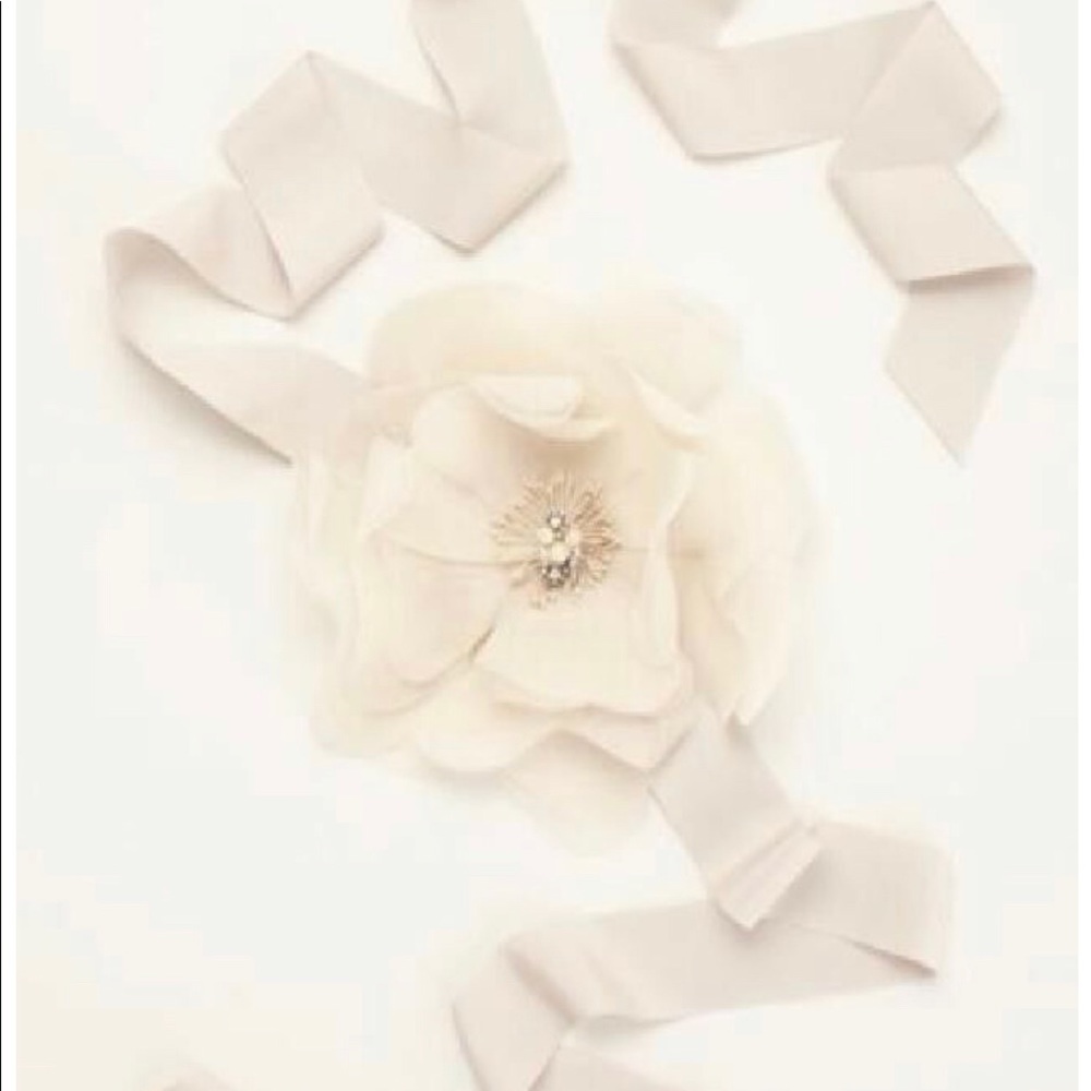 David’s Bridal Garza Floral Sash